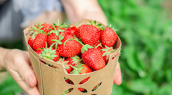 売上アップに貢献する